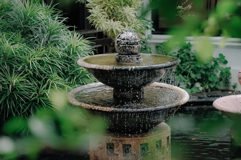 Moonlit Garden